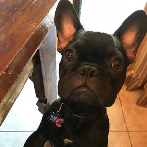 Meet your Posher, Nicole